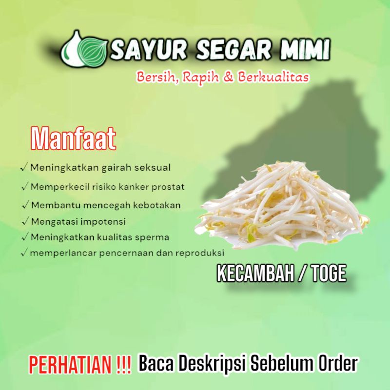 Jual Toge / Tauge / Kecambah - Sᴀʏᴜʀ Sᴇɢᴀʀ ♏ɪᴍɪ | Shopee Indonesia