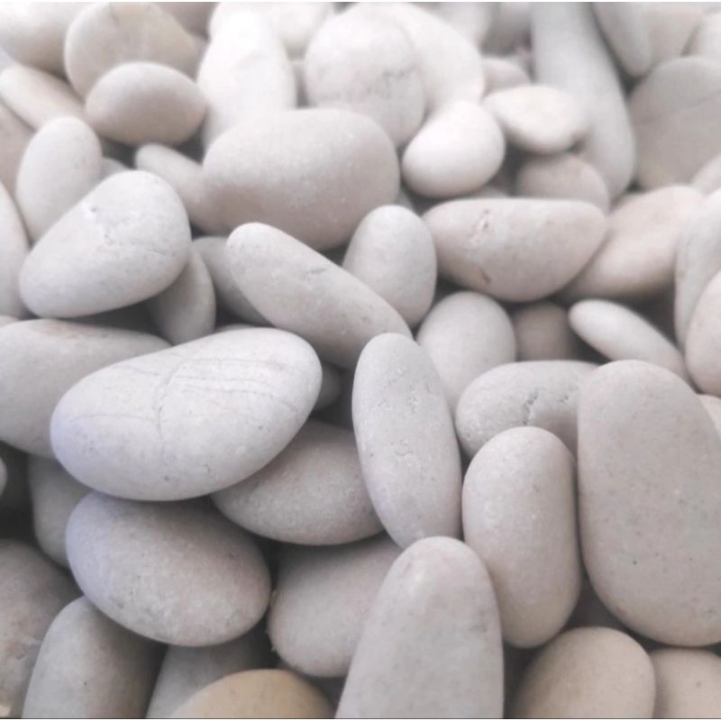 Jual Batu koral putih pipih, batu putih 25-30, Batu taman pipih, batu