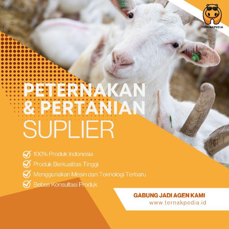 Jual Vitamin E Selenium - Suplemen Fertilitas Sapi - Obat Fertilitas ...