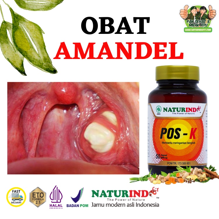 Jual Obat Amandel Dewasa Herbal Amandel Dewasa Original Batu Amandel