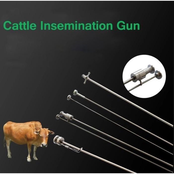 Jual Gun Ib Sapi Alat Suntik Inseminasi Buatan Kawin Suntik Ai Sapi ...