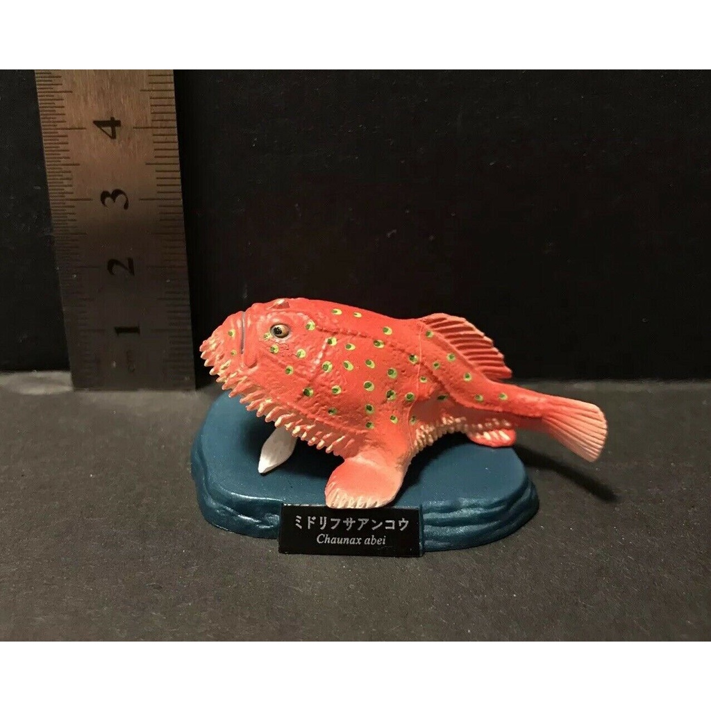 Jual Kaiyodo Aquarium Exclusive Deep Sea Toadfish Chaunax Abei New MIP