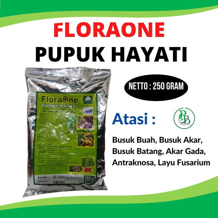 Jual pupuk hayati Rhizobium, pupuk Rhizobium untuk kacang, manfaat ...