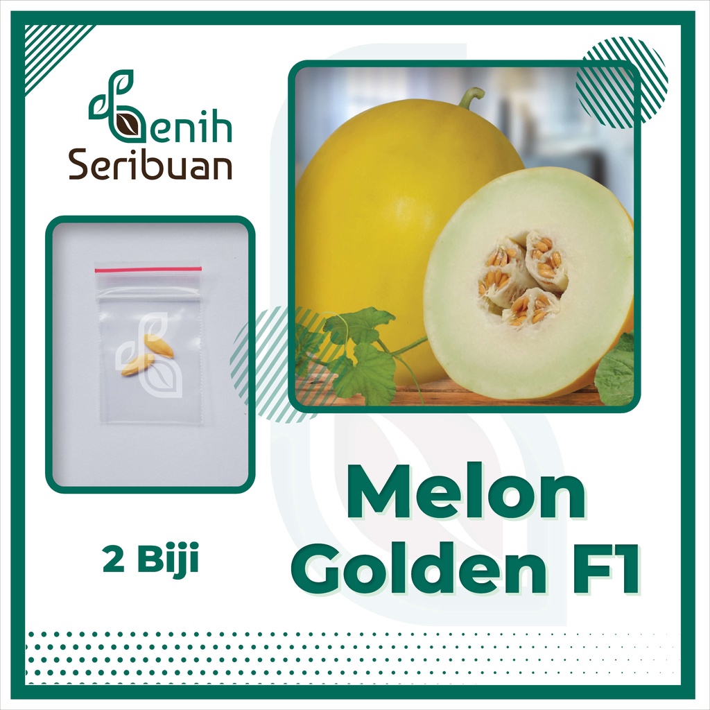 Jual Benih Seribuan Bibit Buah Melon Golden F Hibrida Shopee Indonesia