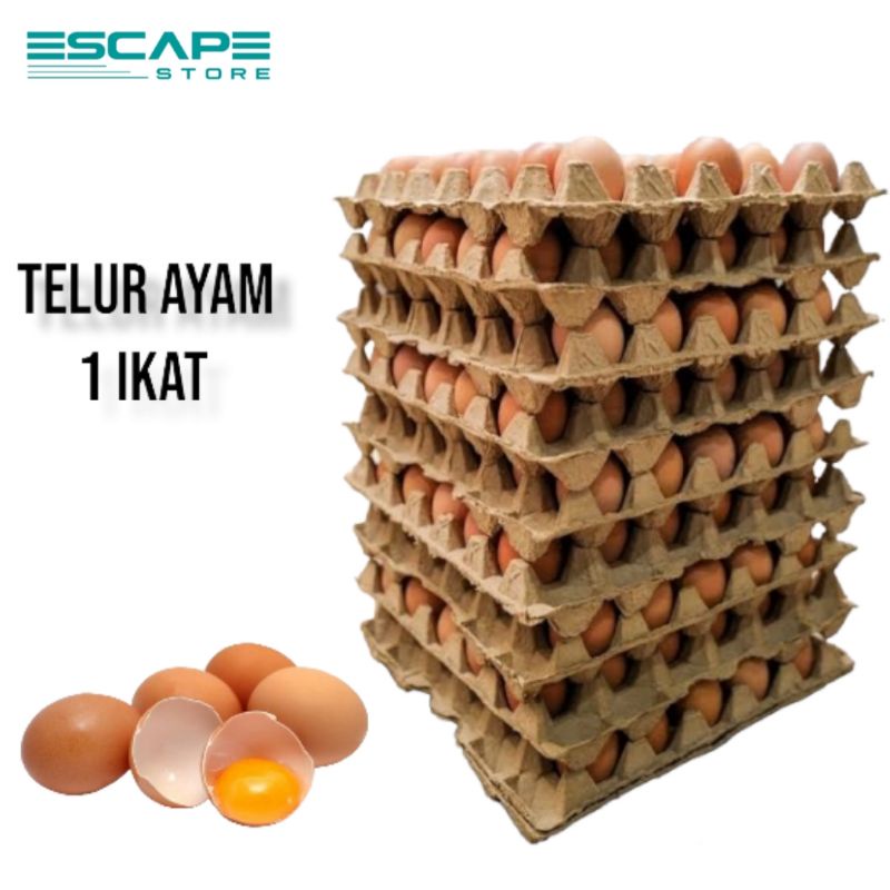 Jual Telor Ayam Coklat Telur Ayam Negri 1 Ikat 5 Kg 10 Kg Dan 15 Kg Shopee Indonesia 6527