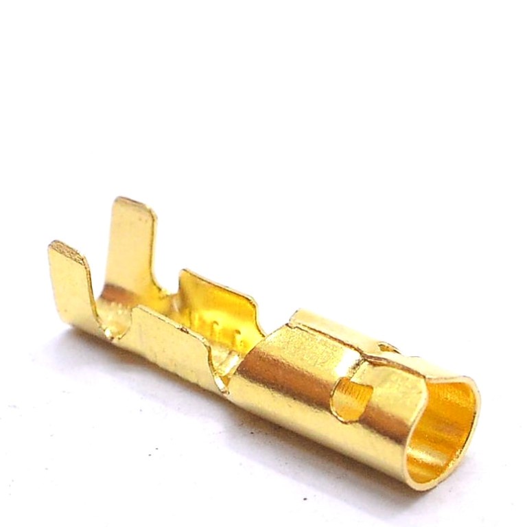 Jual SKUN TERMINAL bulat gepeng jantan betina male female cowok cewek ...