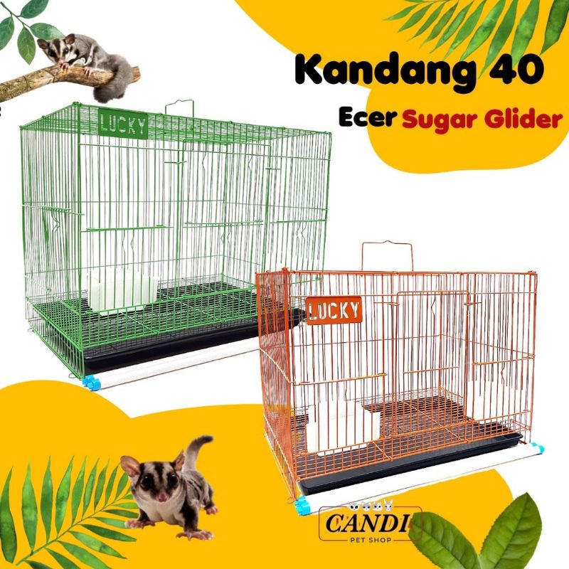 Jual Kandang Sg Kandang Sugar Glider Kelinci Mini Kandang Tupai Aksesoris Sugar Glider Harga