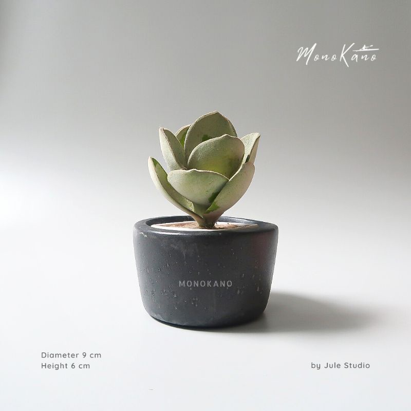Jual Pot Tanaman Size M Waterproof/Black/Hitam/Succulent/Sukulent ...