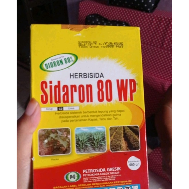 Jual Herbisida Untuk Mengatasi Gulma Rumput Khusus Untuk Kebun Nanas Tebu Teh Dan Kapas