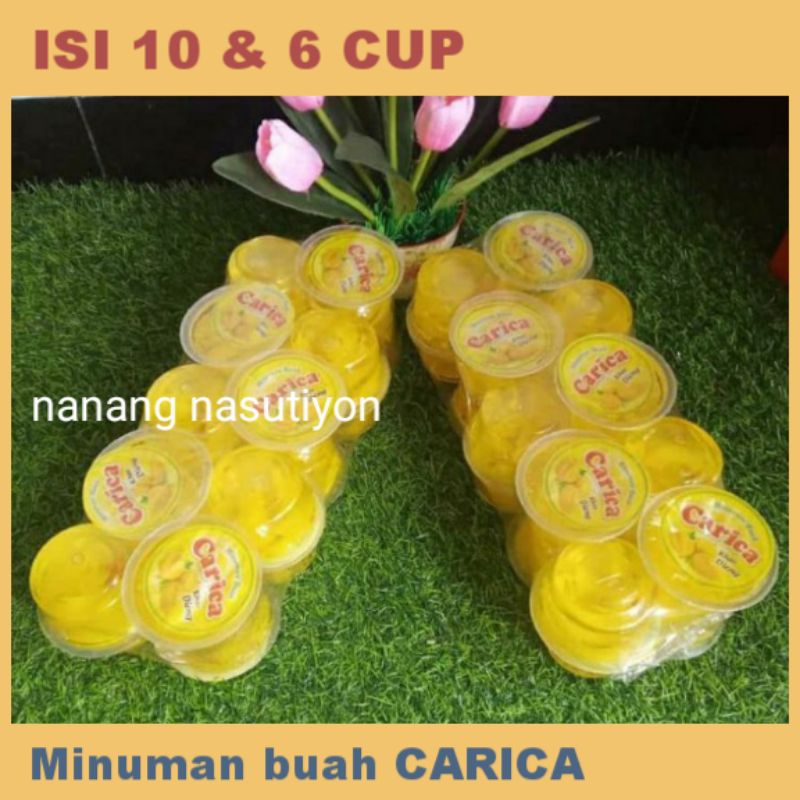 Jual Minuman Buah Carica Khas Dieng Wsb Shopee Indonesia