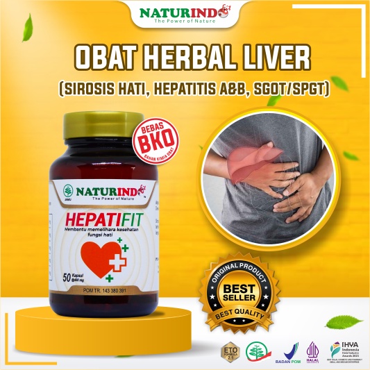 Jual Obat Hepatitis B Liver Herbal Liver Hepatitis Engkak C Perut ...