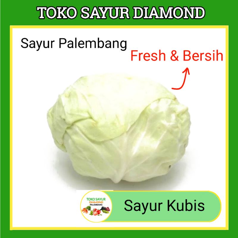 Jual Sayur Kubis Sayur Sayuran Segar Fresh Online Palembang Shopee