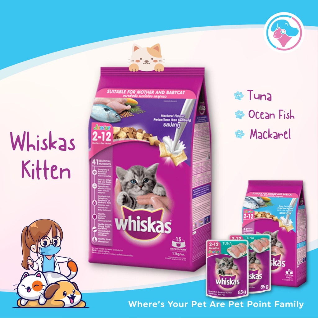 Jual Whiskas Kitten Junior Makanan Kering Kucing 1,1kg Pakan Dry Food