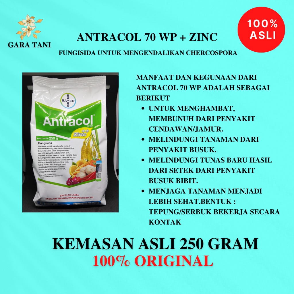 Jual Antracol Wp Zinc Kemasan Gram Fungisida Untuk