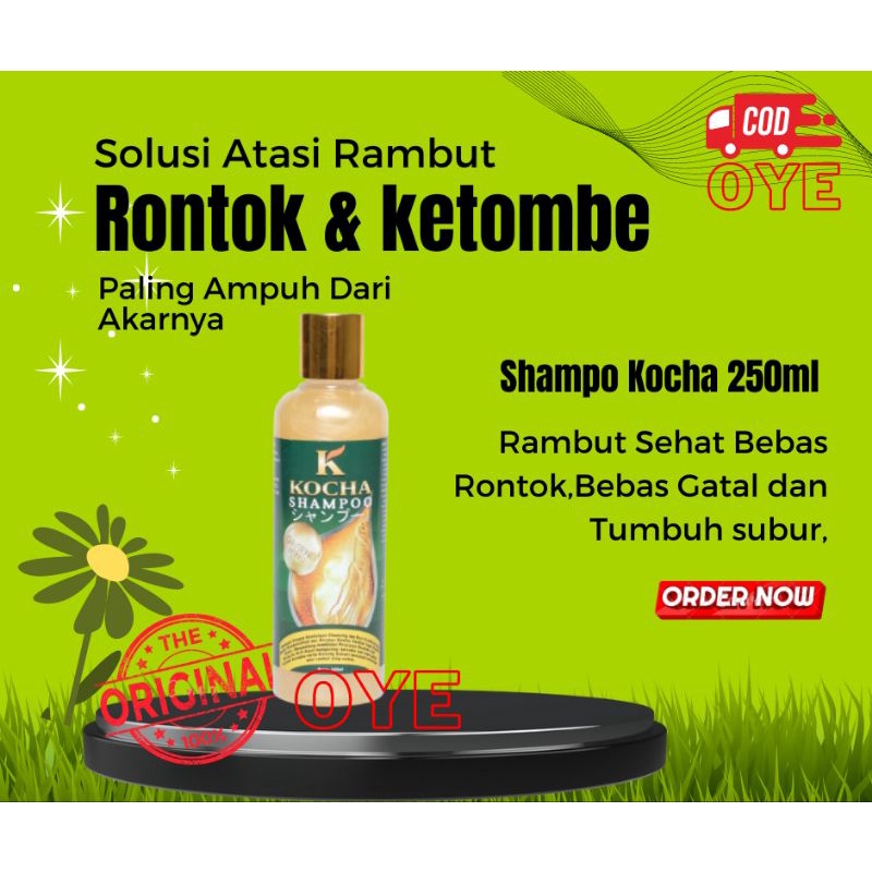 Jual Shampoo Shampo Sampo Anti Ketombe Kocha Paling Ampuh Atasi Ketombe Dan Rambut Rontok 0322