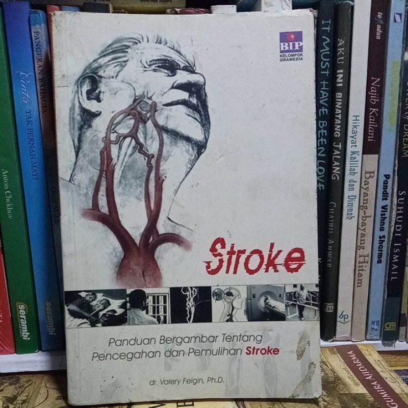 Jual Stroke. Panduan Bergambar Tentang Pencegahan Dan Pemulihan Stroke ...