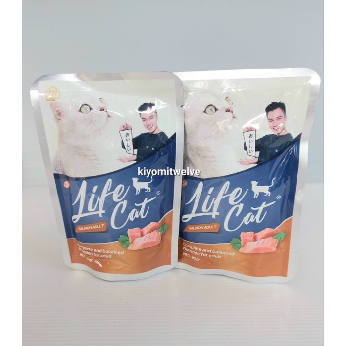 Jual Lifecat Salmon 85gr Lifecat Sachet Lifecat Pouch Life Cat Wetfood ...