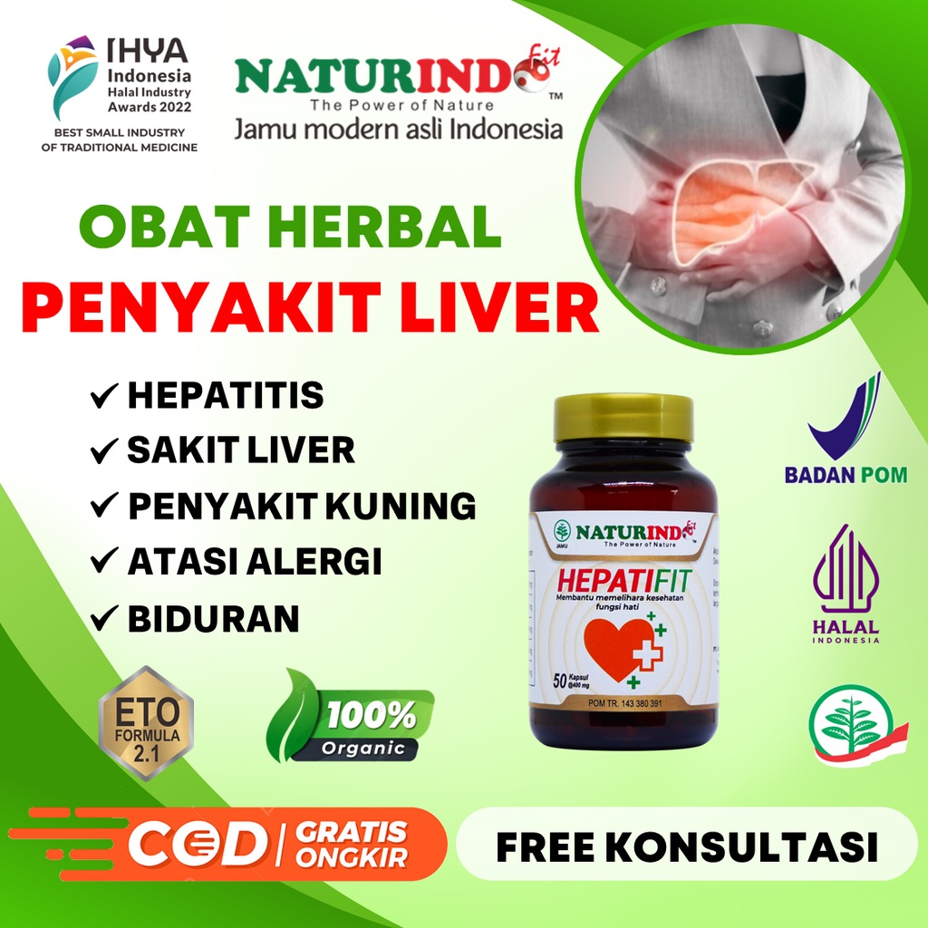 Jual Obat Liver Herbal Fungsi Hati Liver Hepatitis Pankreas Obat Liver