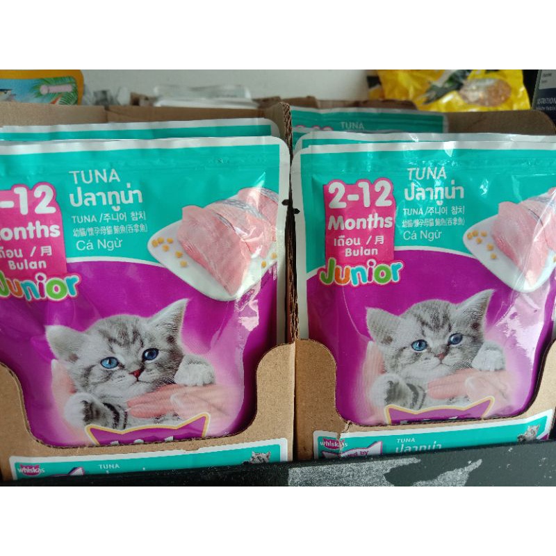 Jual Whiskas Pouch Untuk Kitten 80 Gr Shopee Indonesia