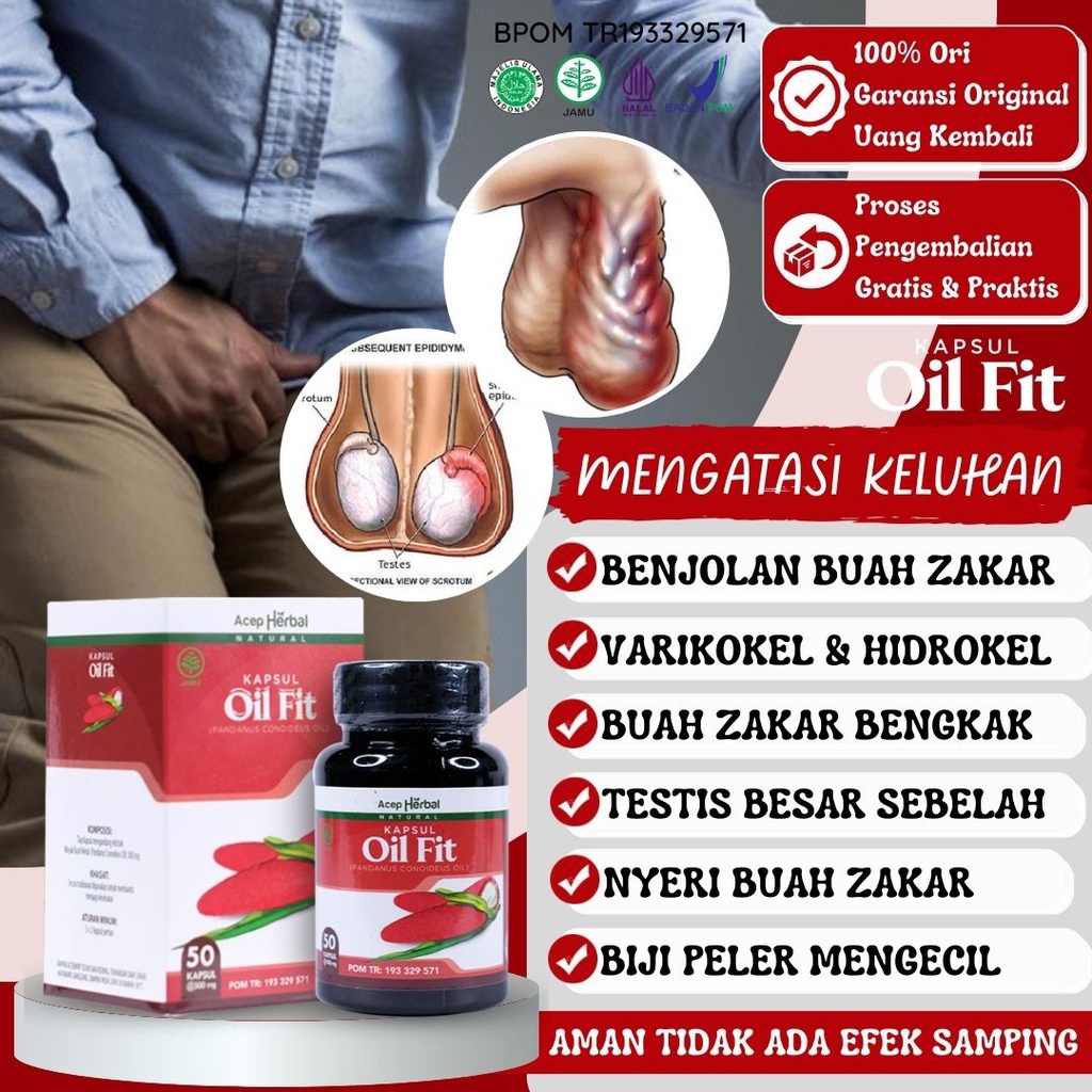 Jual Obat Biji Zakar Bengkak Testis Besar Sebelah Kanan Kiri Varikokel