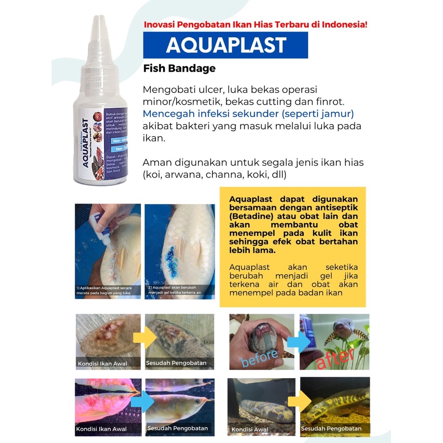 Jual AQUAPLAST Fish Bandage Obat Luka Ikan Koi Koki Arwana - Ulcer ...
