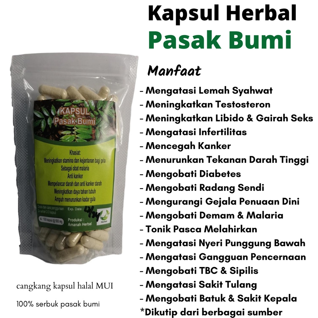 Jual Kapsul Pasak Bumi Isi Original Kapsul Pasak Bumi Isi