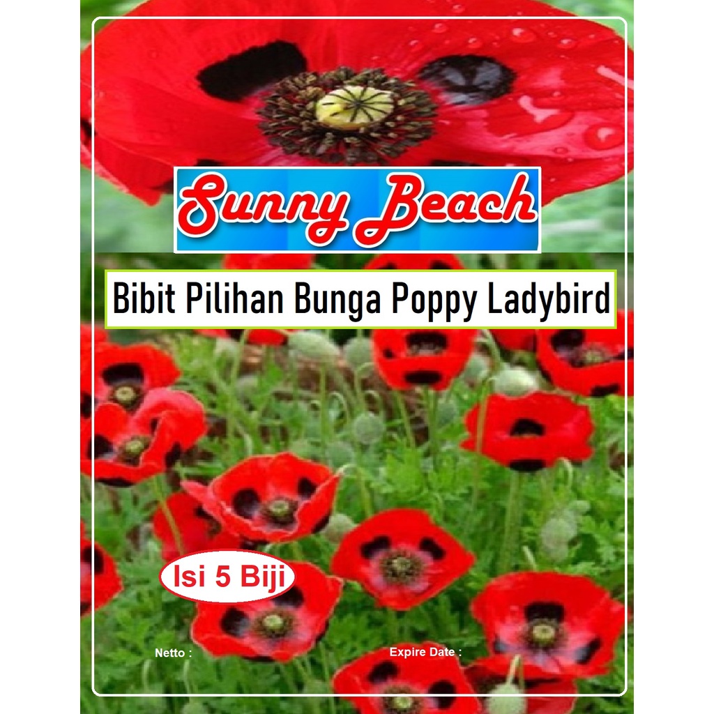 Jual Bibit Pilihan Bunga Poppy Ladybird|Biji Benih Bunga Poppy Lady ...