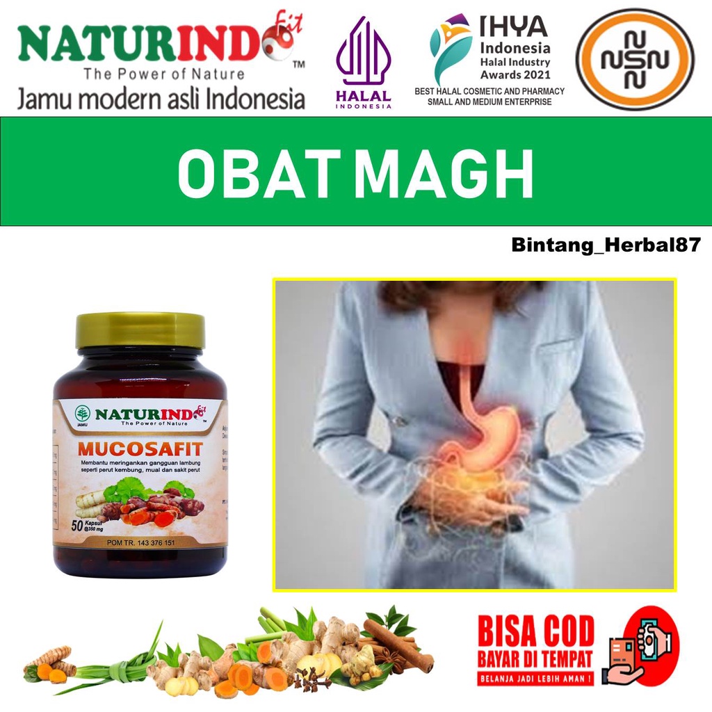 Jual Obat Magh Maag Ampuh Gerd Sakit Lambung Nyeri Ulu Hati Gangguan ...