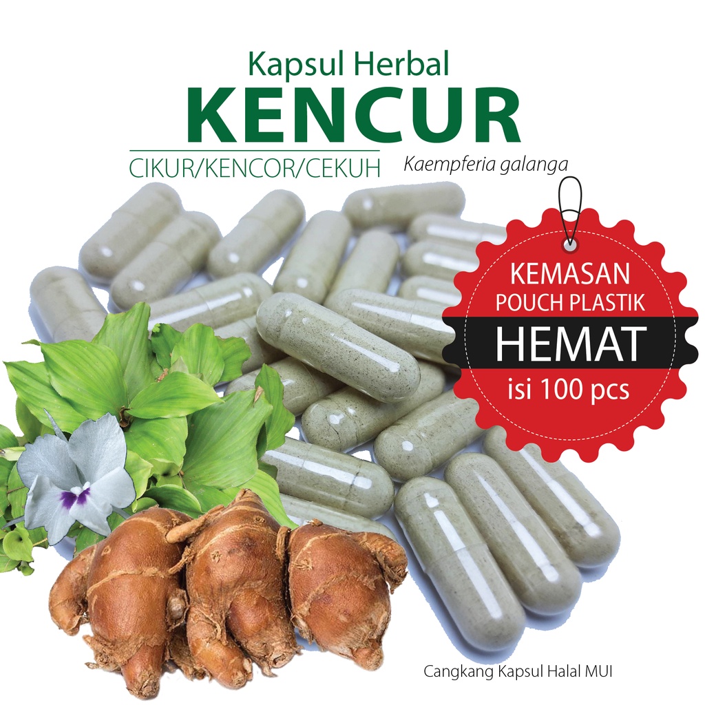 Jual Kencur Kapsul Herbal Kemasan Hemat Isi 100 Pcs Shopee Indonesia 9288