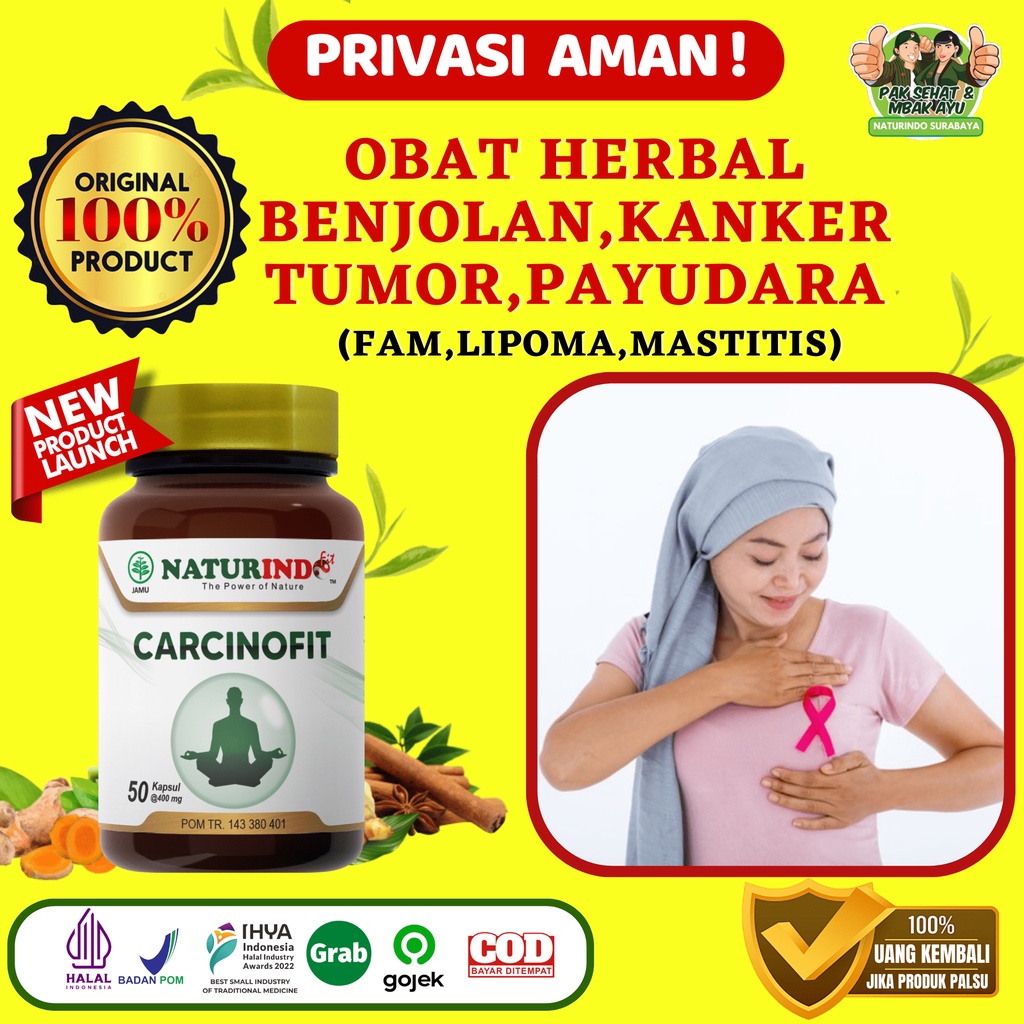 Jual Obat Benjolan Payudara Obat Herbal Kanker Tumor Payudara Obat