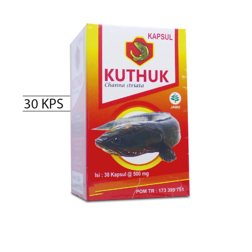 Jual Kapsul Kutuk Premium 30 Kapsul Original Asli Obat Pengering Luka ...