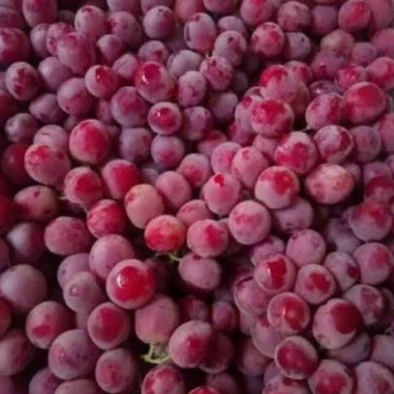 Jual Buah Anggur RRC Fresh | Shopee Indonesia
