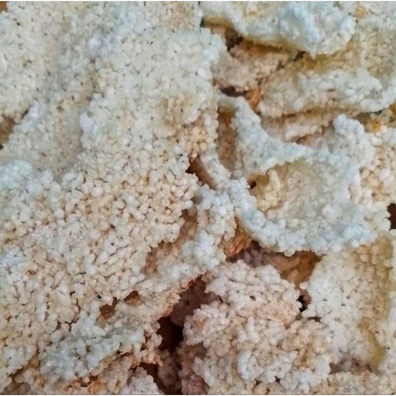 Jual intip goreng sedap 100gr | Shopee Indonesia