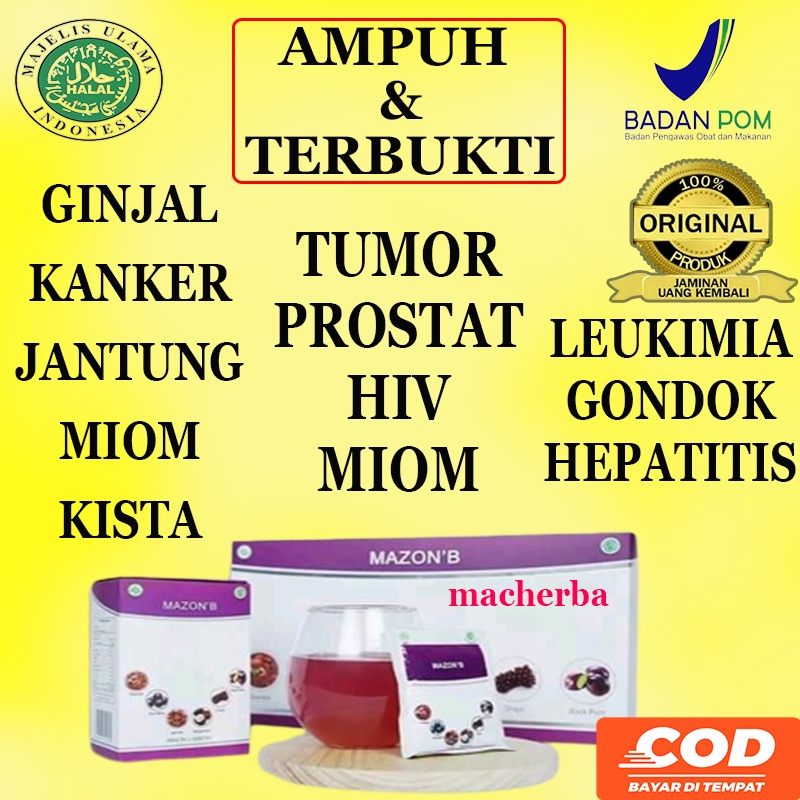 Jual Paket Hemat Obat Herbal Khusus Batu Ginjal Dan Batu Empedu ...