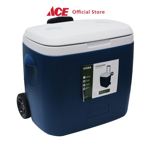 Cool box hot sale ace hardware