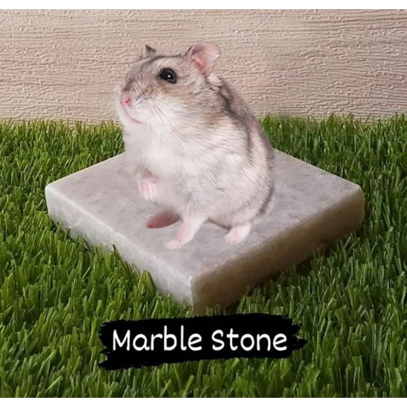 Jual MARBLE PAD Marble Cooling Pad Hamster Pendingin Hamster Alas