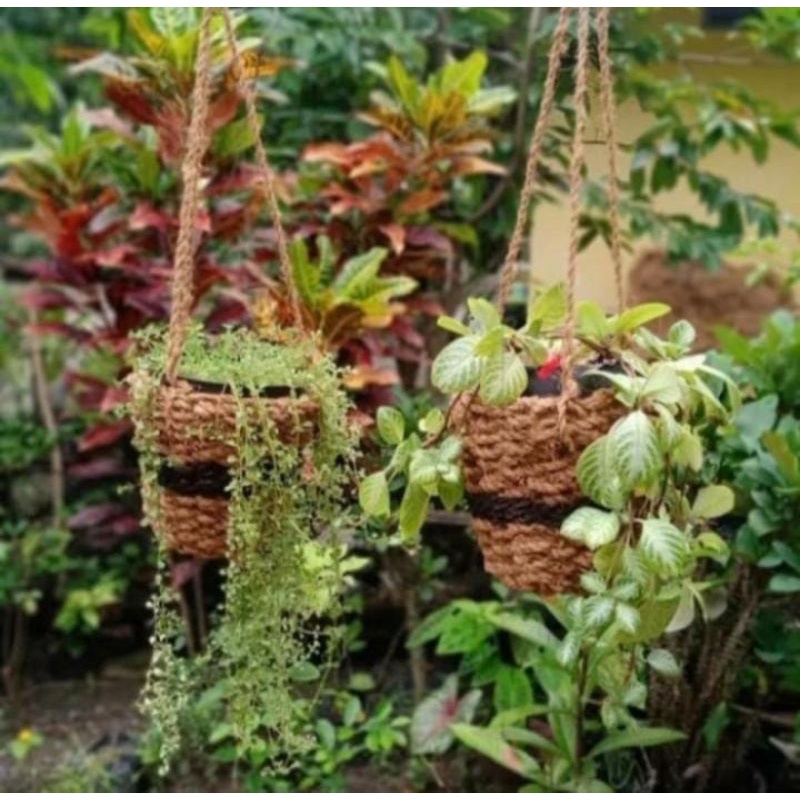 Jual pot sabut kelapa anyam gantung variasi ijuk tengah hitam pot ...