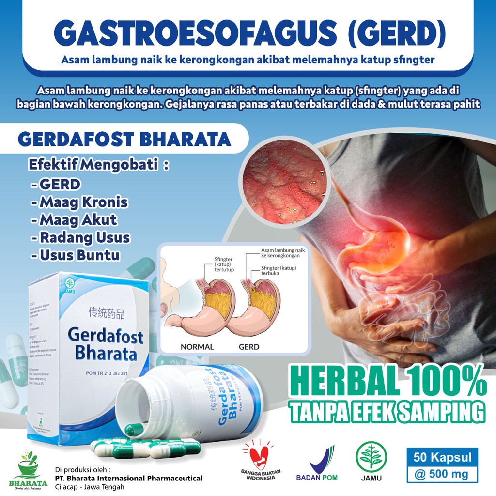 Jual Obat Gerd | Maag Akut & Kronis | Obat Usus Buntu | Asam Lambung ...