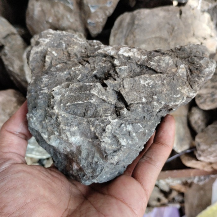 Jual Batu Turly Cakeppp Penghias Aquascap/Akuarium/Taman/Tanaman ...