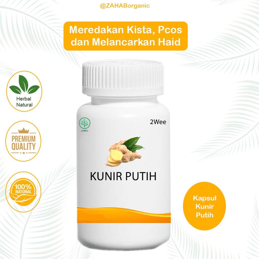 Jual Kapsul Kunyit Kunir Putih 2wee Solusi Kanker Diabetes 100 Shopee Indonesia 5409