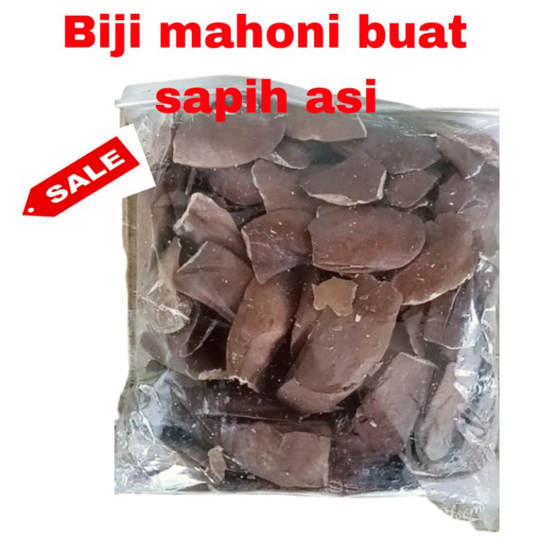 Jual Buah Biji Mahoni Buat Sapih Asi G Shopee Indonesia