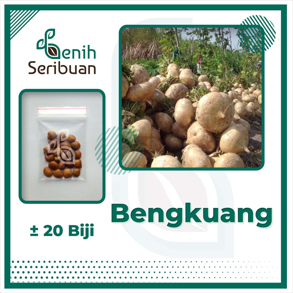 Jual Benih Seribuan Aneka Bibit Buah Buahan Hibrida Varian Unggulan