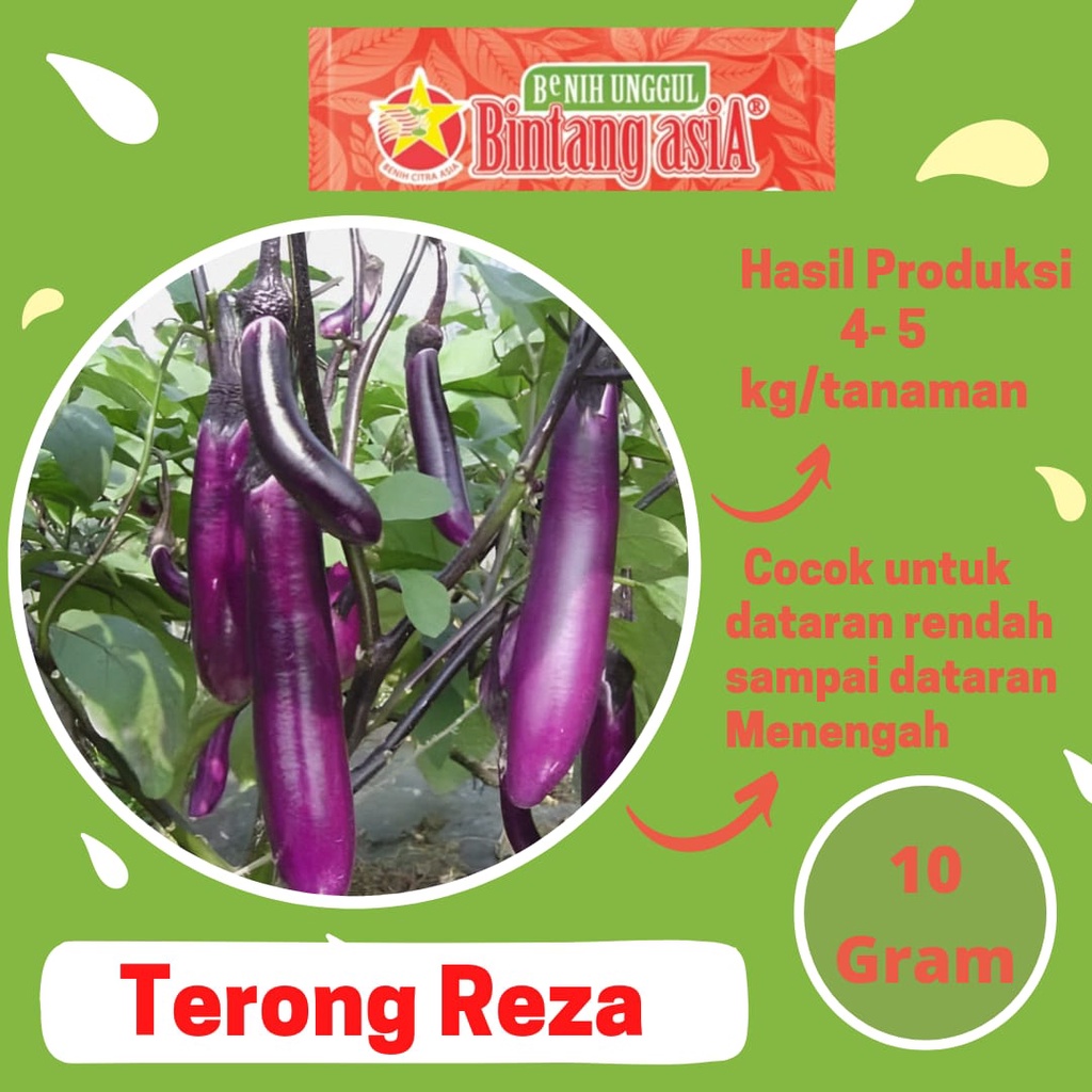 Jual Benih Terong REZA 10 Gram Cap Bintang Asia Rasa Buah Renyah Cocok ...