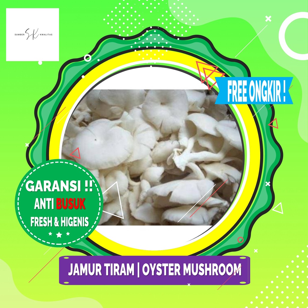 Jual Sumber Kwalitas Jamur Tiram Oyster Mushroom 250 gram Shopee