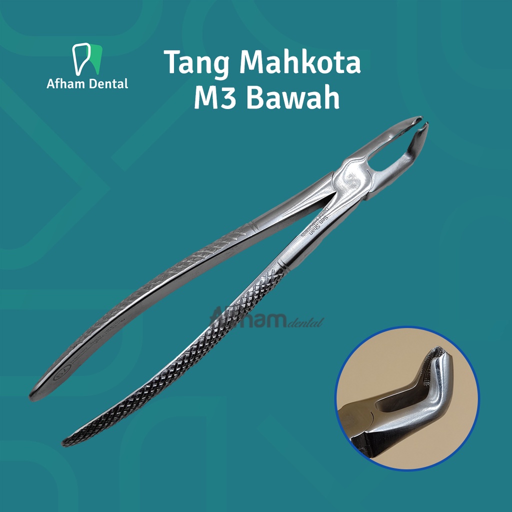 Jual DENTAL TANG CABUT GIGI DEWASA SATUAN ADULT TOOTH FORCEP / FORCEPT ...