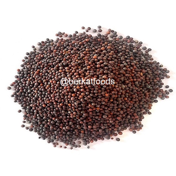 Jual PESAN MIN 15 RIBU Black Mustard Seed / Biji Sawi Hitam Import ...