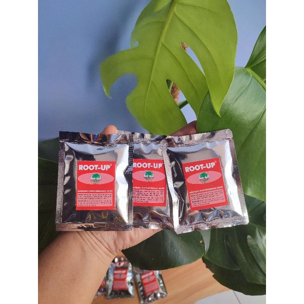 Jual Root Up Hormon Pertumbuhan Akar Cangkok Stek Batang Repack Gr Shopee Indonesia