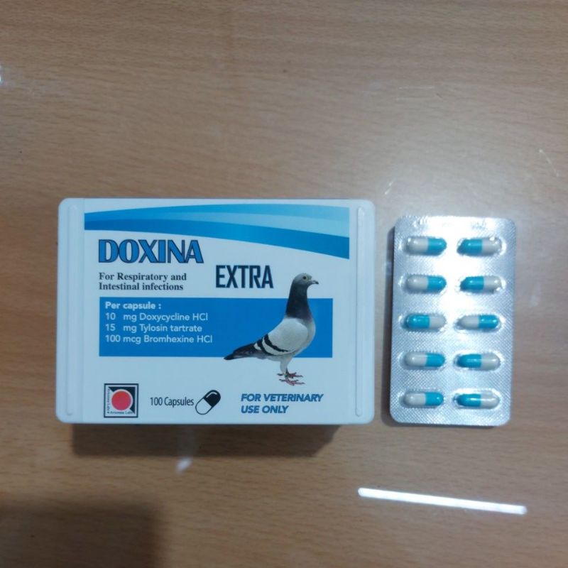 Jual Doxina 10 Capsul Antibiotik Burung Doxina Extra Anti inflamasi ...