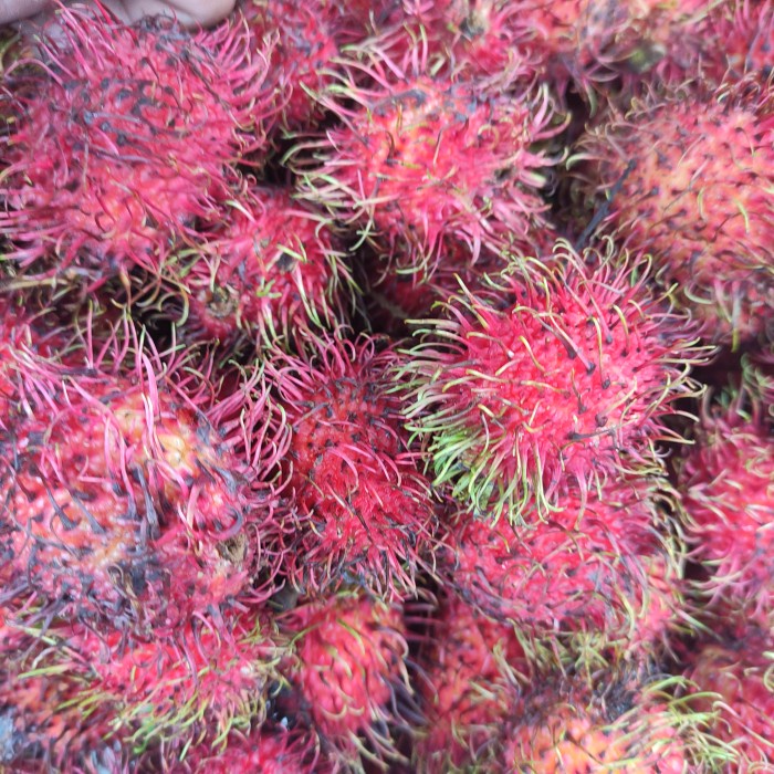 Jual buah rambutan pasar online makassar | Shopee Indonesia