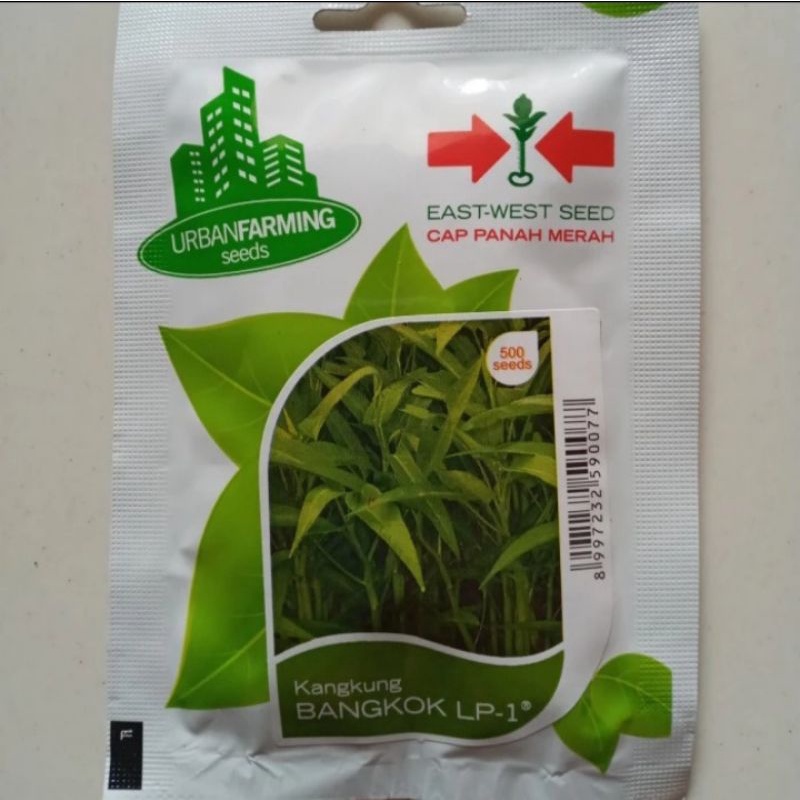 Jual Benih Kangkung Bangkok Lp Kemasan Original Shopee Indonesia